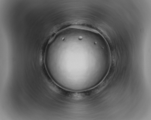 X0000113530261200910021335