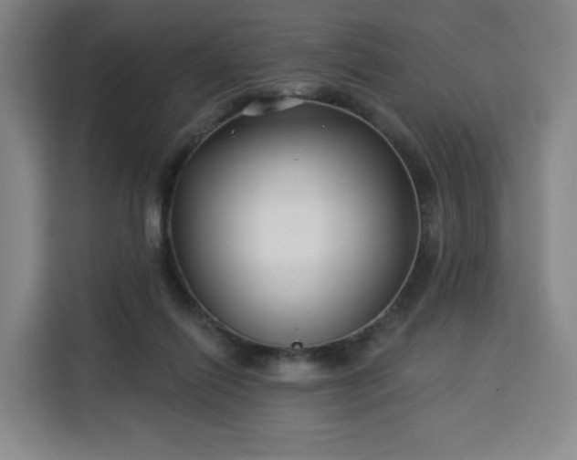 X0000113530262200910021335