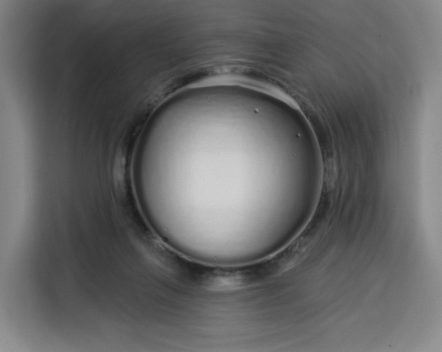 X0000113530263200910021335