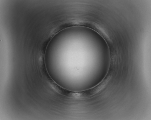 X0000113530265200910021335