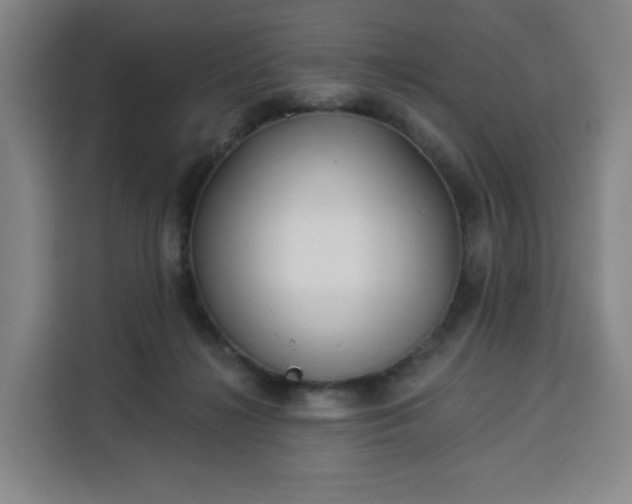 X0000113530268200910021335