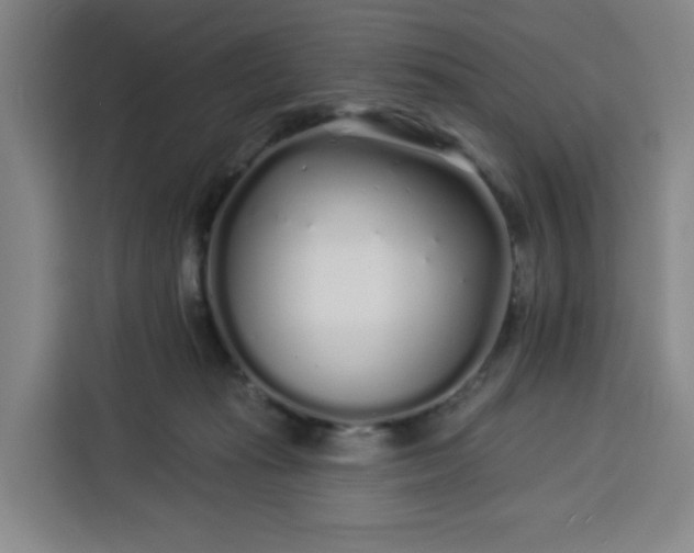 X0000113530269200910021335