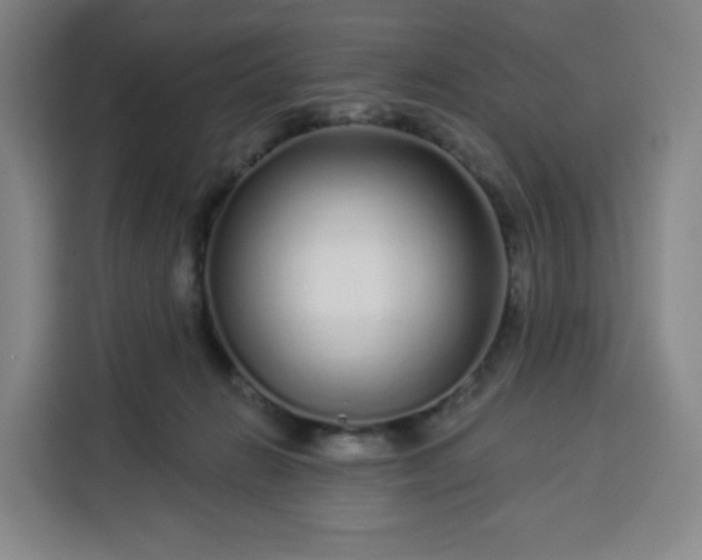 X0000113530270200910021335