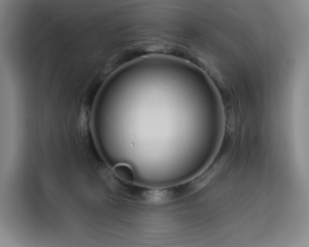 X0000113530273200910021335