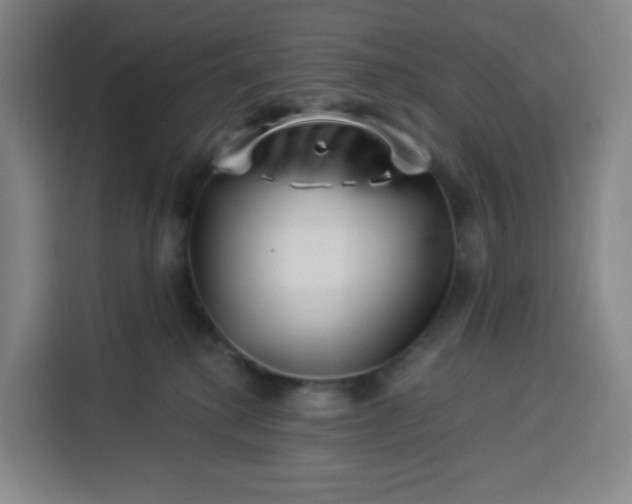 X0000113530280200910021335