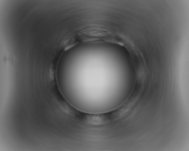 X0000113530282200910021335