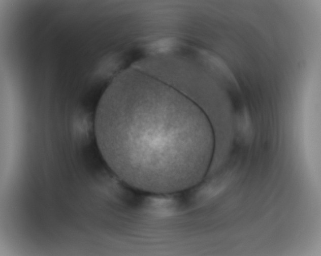 X0000113530284200910021335