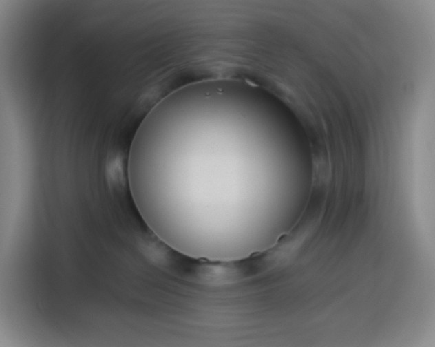 X0000113530286200910021336