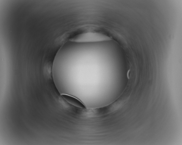 X0000113530288200910021336