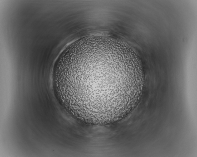 X0000113530290200910021335