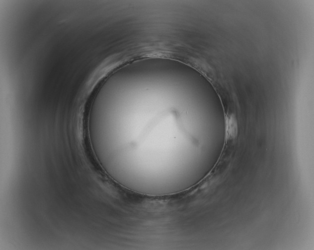 X0000113530291200910021335