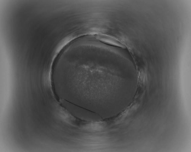 X0000113530292200910021335