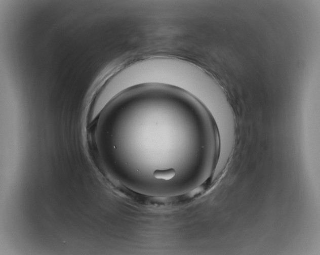 X0000113530293200910021335