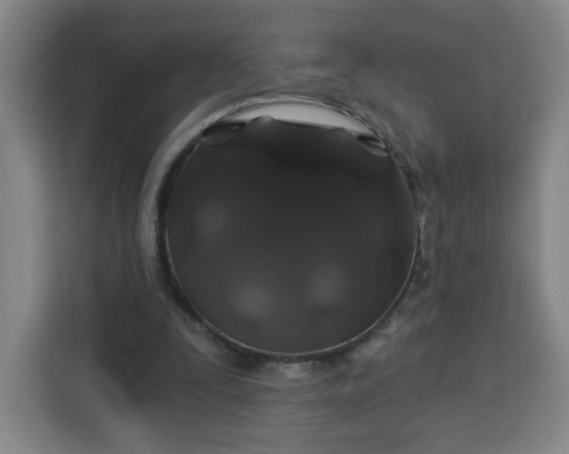 X0000113530295200910021335