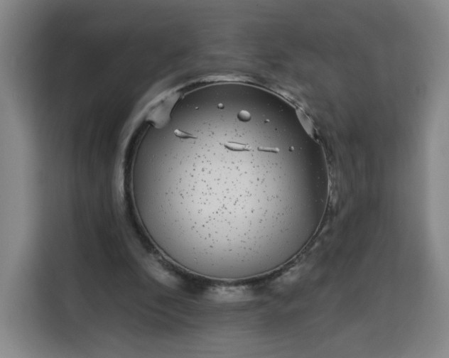 X0000113530296200910021335