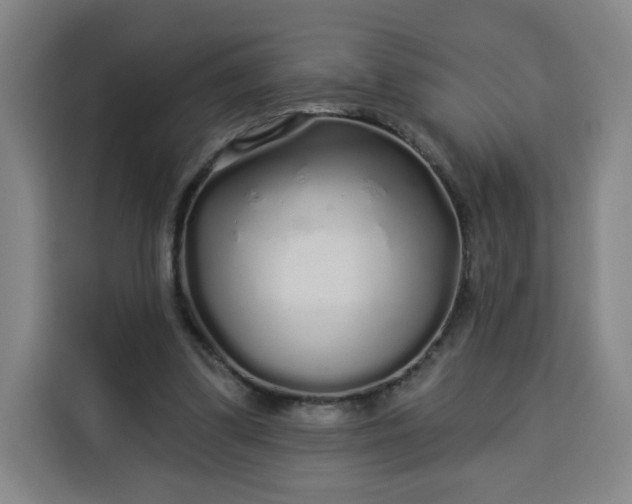 X0000113530299200910021335