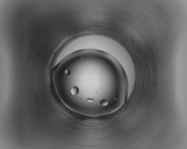 X0000113530300200910021335