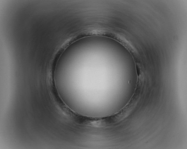 X0000113530306200910021335