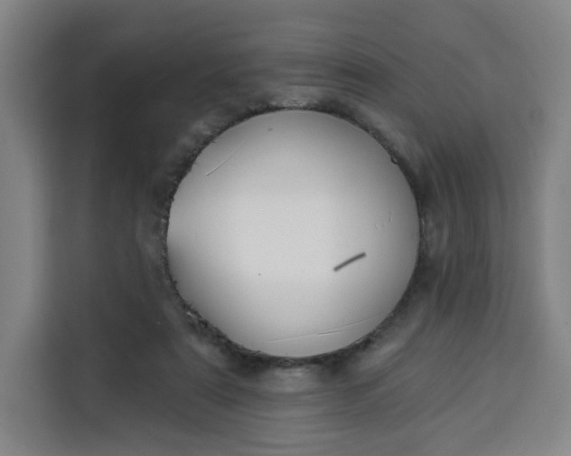 X0000113530307200910021335