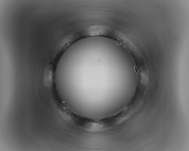 X0000113530308200910021335