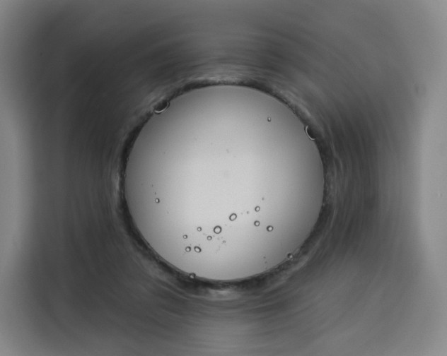 X0000113530309200910021335