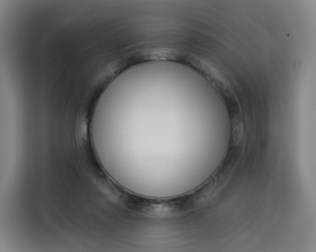 X0000113530310200910021335