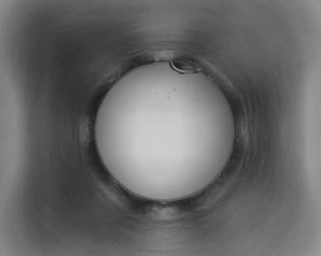 X0000113530311200910021335