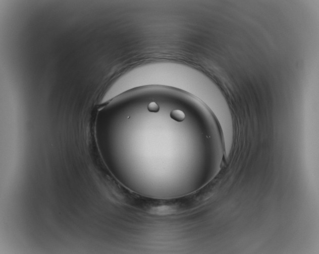 X0000113530312200910021335