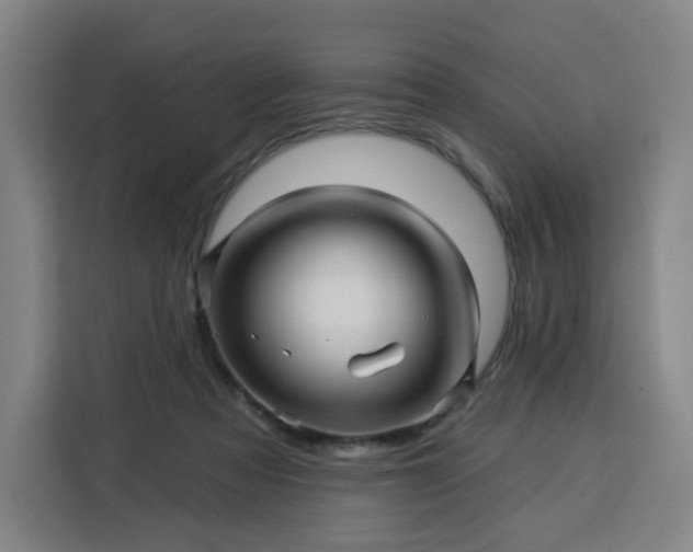 X0000113530313200910021335