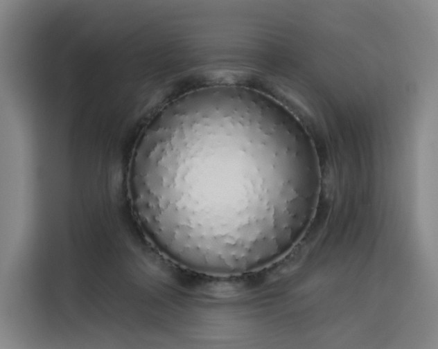 X0000113530314200910021335