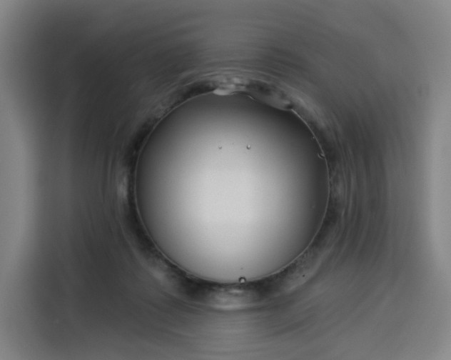 X0000113530315200910021335