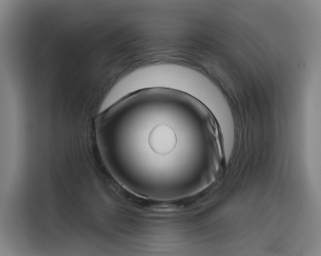 X0000113530316200910021335