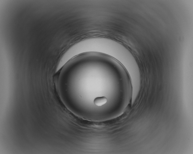 X0000113530317200910021335