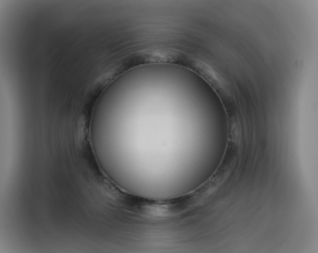 X0000113530318200910021335