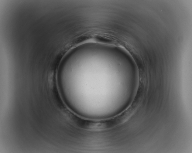 X0000113530319200910021335