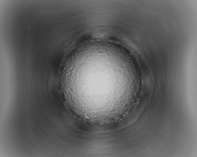 X0000113530322200910021334