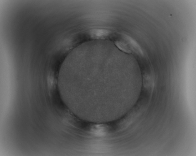 X0000113530324200910021334