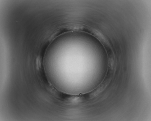 X0000113530326200910021334