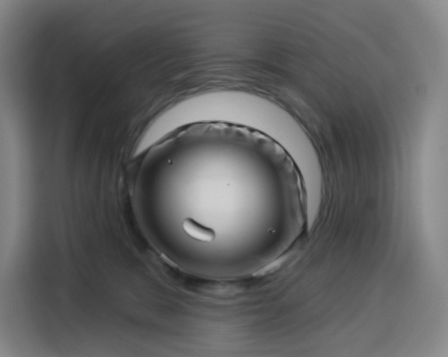 X0000113530327200910021334