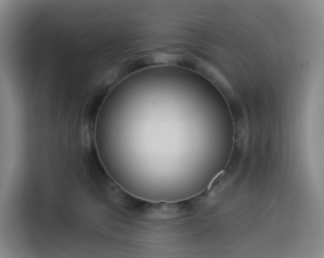 X0000113530329200910021334