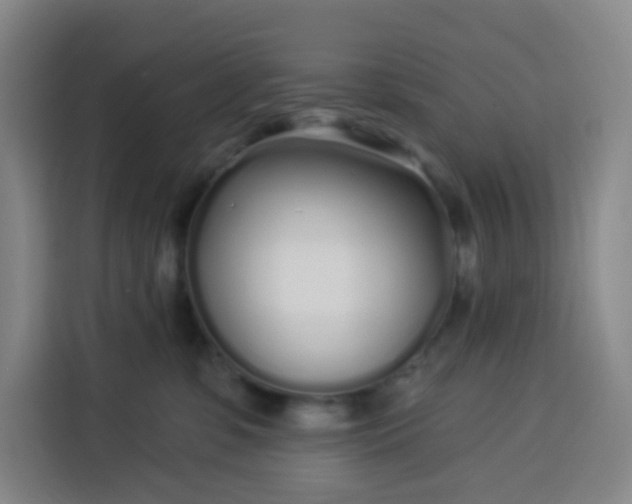 X0000113530331200910021334