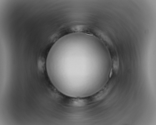 X0000113530332200910021334