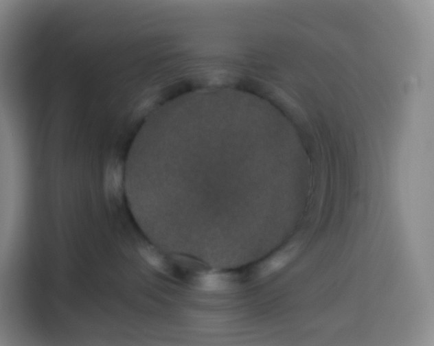 X0000113530336200910021334