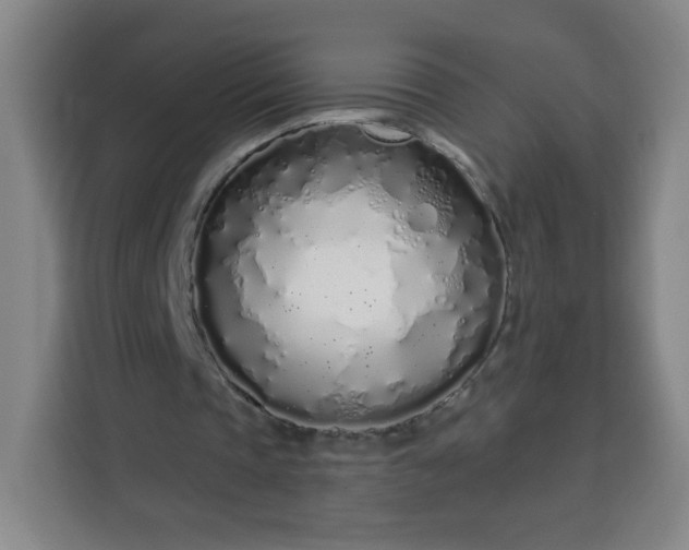 X0000113530337200910021334