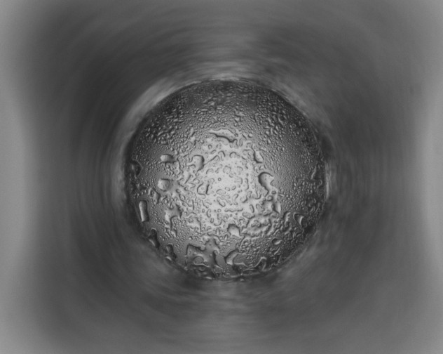 X0000113530339200910021334