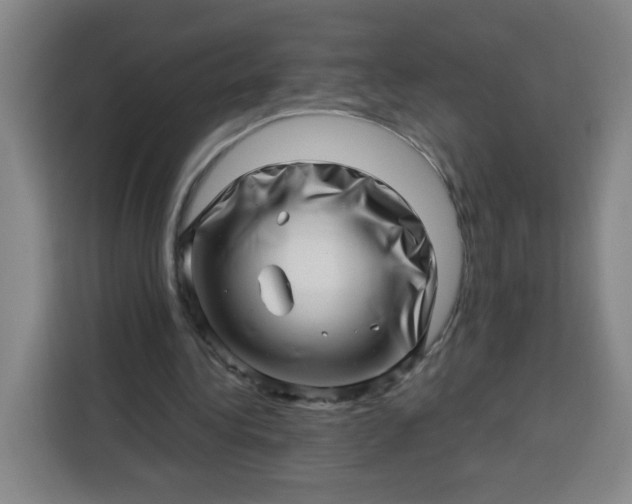 X0000113530340200910021334