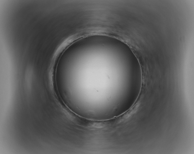 X0000113530341200910021334