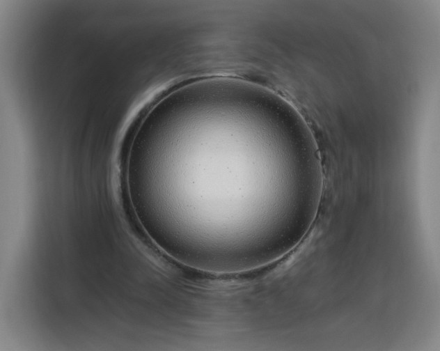 X0000113530342200910021334