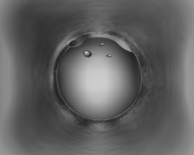 X0000113530344200910021334