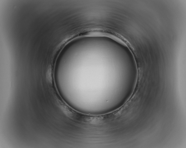 X0000113530345200910021334